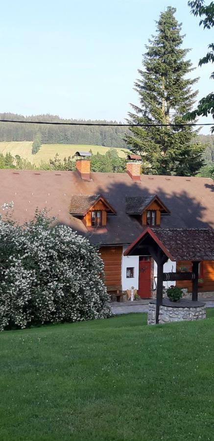 Ubytovani Monika Paseky nad Jizerou Extérieur photo